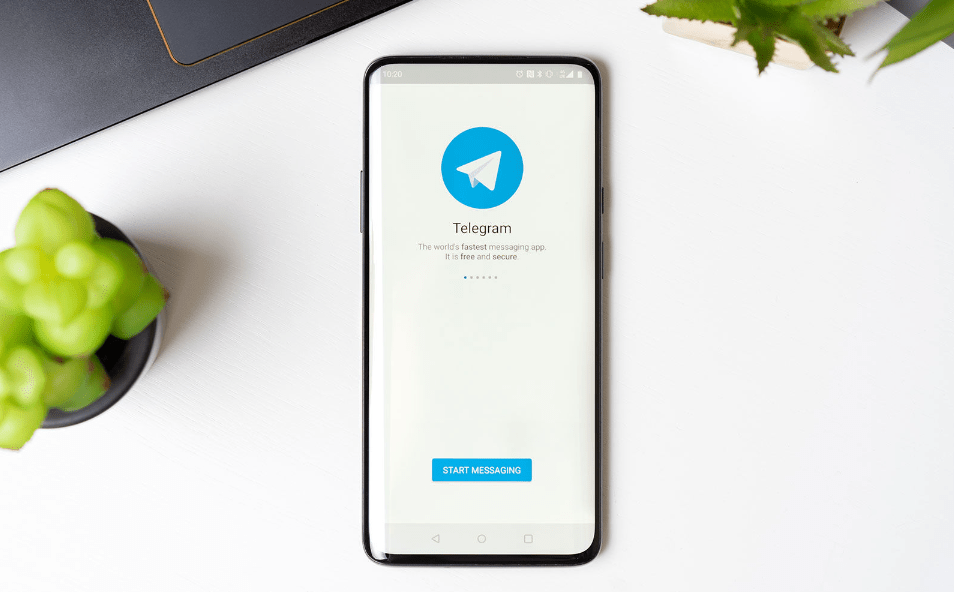 Aviator Signal Telegram APP.